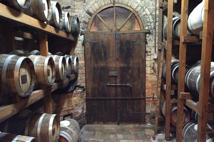 Montepulciano Vineyards Wine Tour with 3 Estates Visit