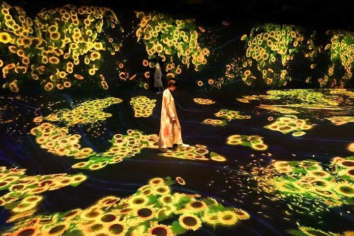 teamLab Forest Fukuoka an Immersive Art Experience Ticket