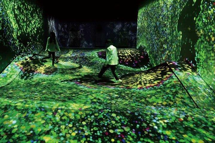teamLab Forest Fukuoka an Immersive Art Experience Ticket