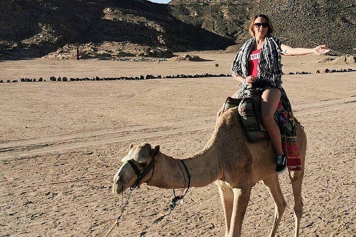 Hurghada Safari Trip Quad, Buggy, Jeep, Camel, Dinner, and Show