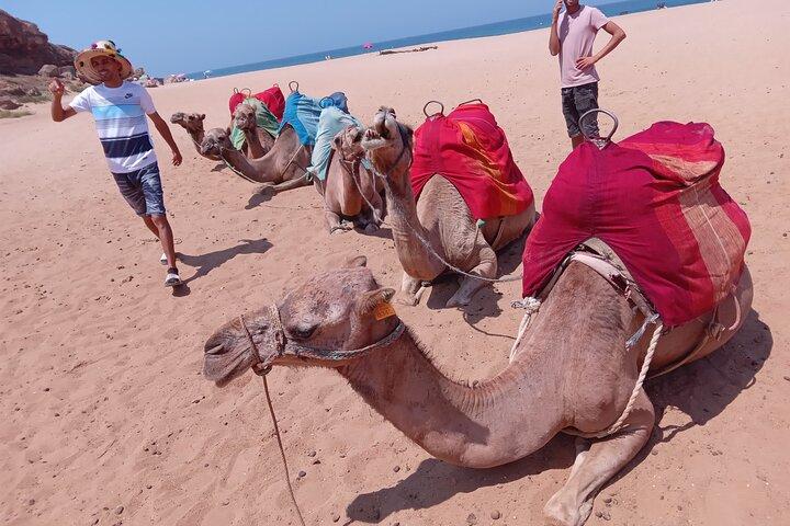 Day Trip to Marrakech From Casablanca
