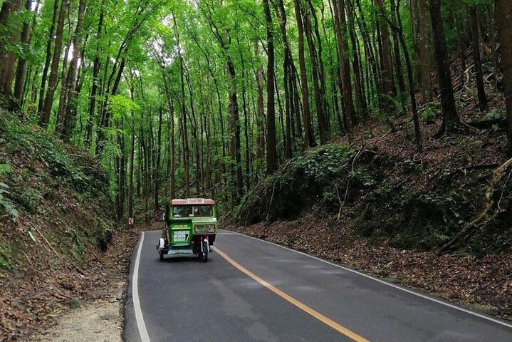 Bohol Choco Tour with Loboc River Lunch Buffet