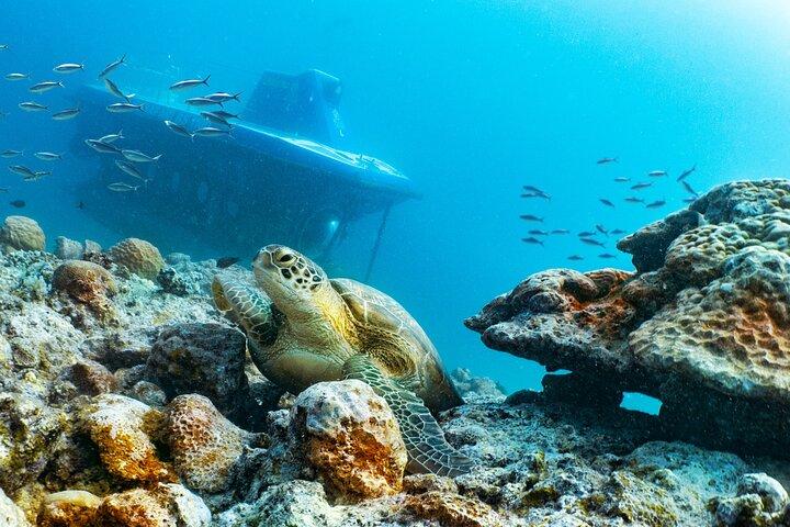 Mauritius Unique Submarine Tour