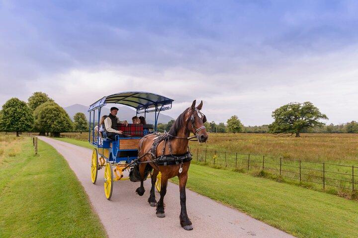 Killarney Jaunting Car Tour- Park to Castle