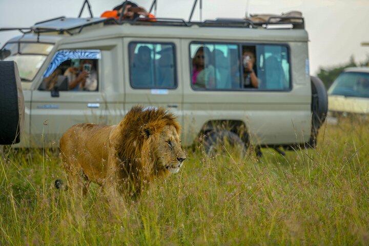 10 Day Bush and Beach Safari in Nairobi