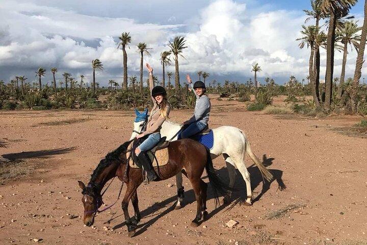 2-Hour Horseback Riding Adventure in Palmeraie Grove – Marrakesh