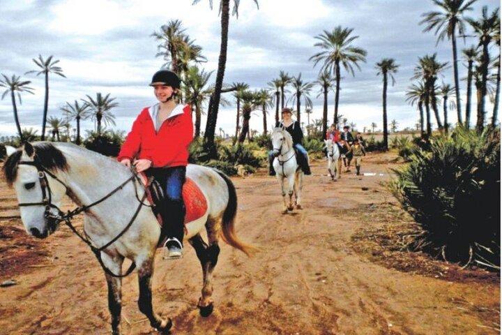 2-Hour Horseback Riding Adventure in Palmeraie Grove – Marrakesh