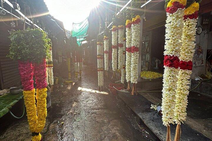 India Temple and Backwaters Multi-day Tour