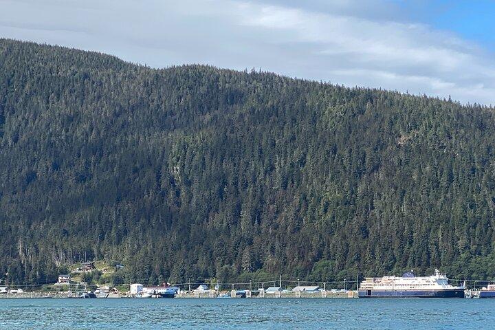 Mendenhall Glacier Waterfall and Whale Watching Tour