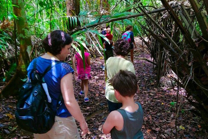 Beautiful Panama Wounaan Village Tour