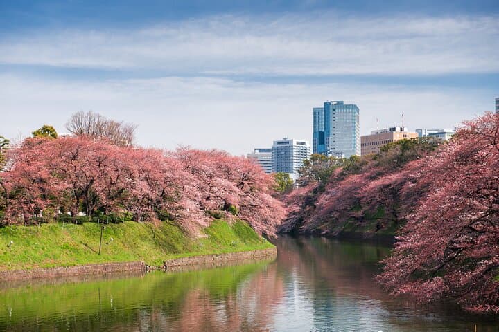 Self-Guided Tour of Tokyo's Hidden Alleys
