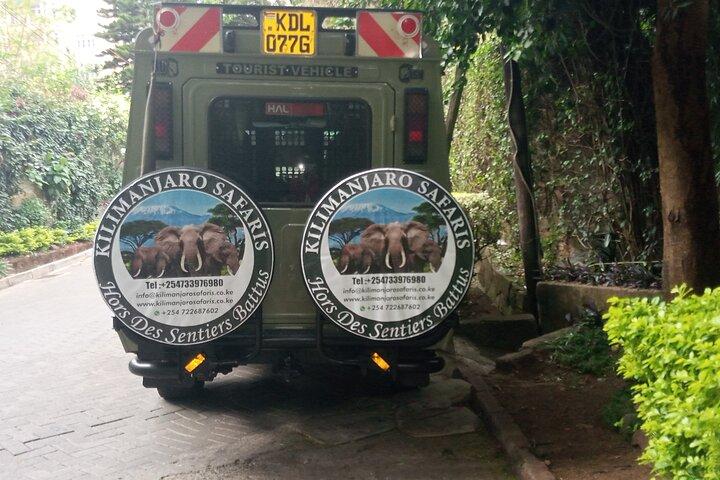 Day Trip to Amboseli National Park at the Base of Mt. Kilimanjaro