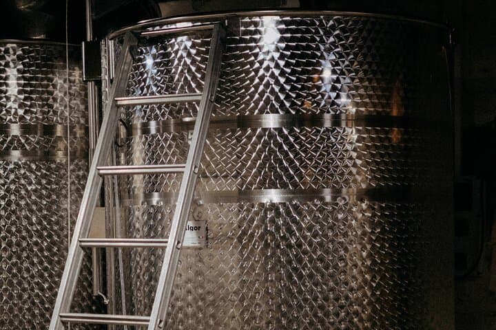 Beaujolais 100% wine tour Small-Group Tour with Tasting from Lyon