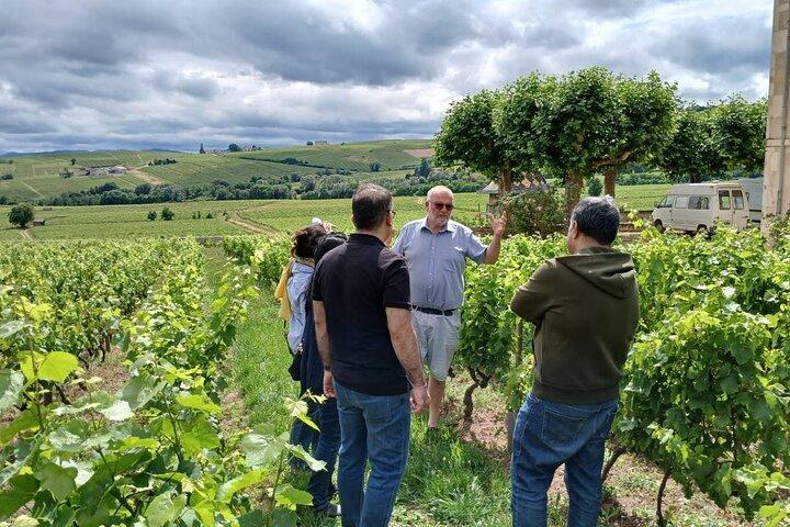 Beaujolais wine route, private tour from Lyon