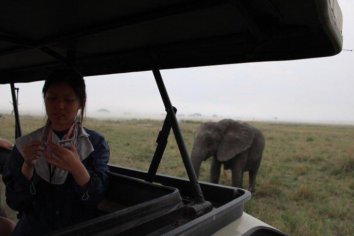 6 Days Adventure Towards Serengeti, Ngorongoro and Tarangire