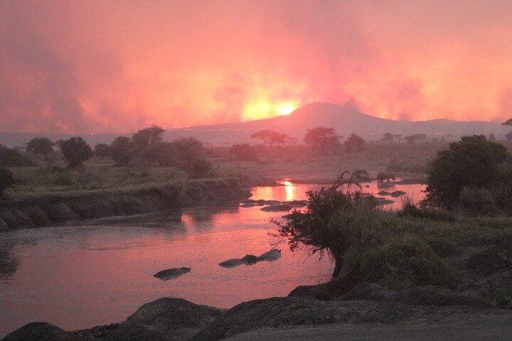 6 Days Adventure Towards Serengeti, Ngorongoro and Tarangire