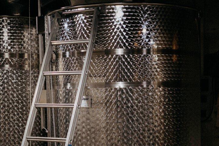 Beaujolais 100 % wine tour Private Tour with Tasting