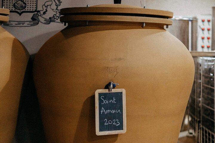Beaujolais 100 % wine tour Private Tour with Tasting