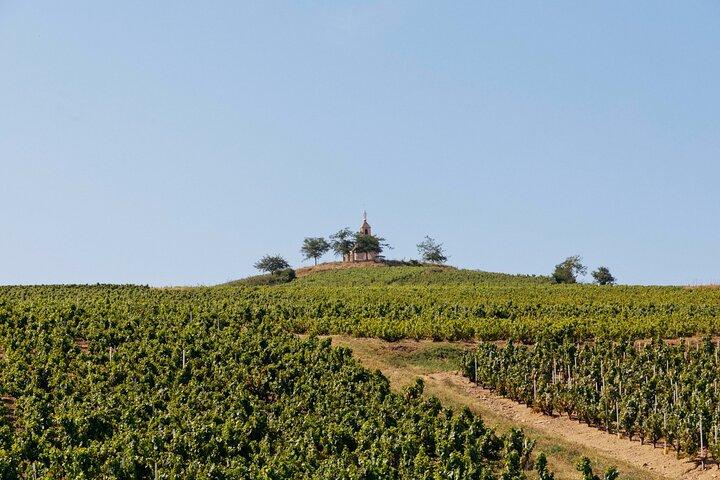 Beaujolais 100 % wine tour Private Tour with Tasting