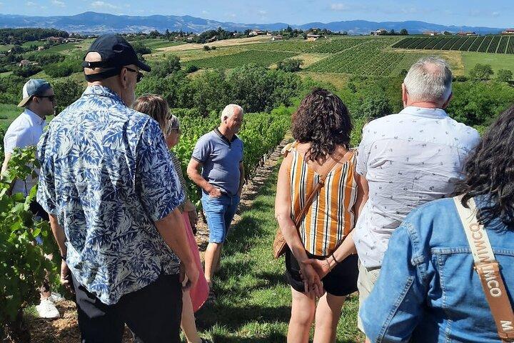 Private half-day tour to Golden Stones Beaujolais with tastings
