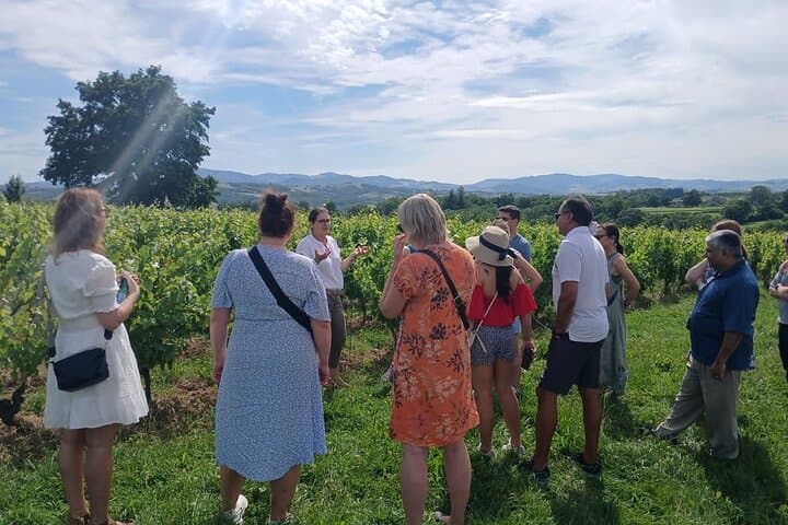 Private half-day tour to Golden Stones Beaujolais with tastings