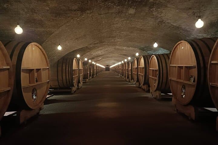 Beaujolais wine and Perouges village full day shared tour