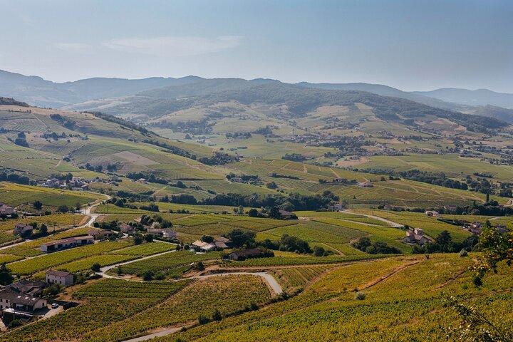 Beaujolais Private Day Tour with Tastings from Lyon