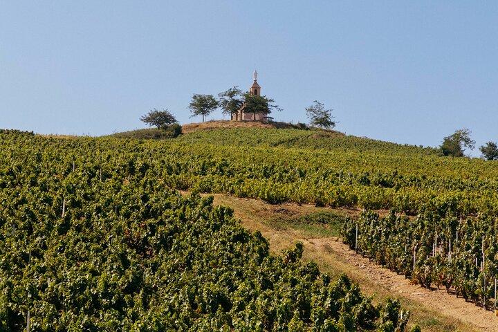 Beaujolais Private Day Tour with Tastings from Lyon
