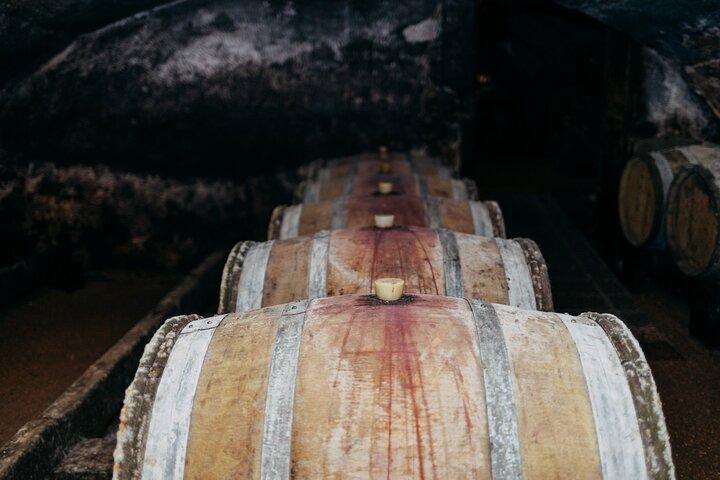 Beaujolais Private Day Tour with Tastings from Lyon