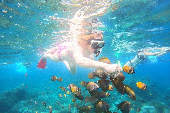Nusa Penida Private Snorkeling and West Tour Start from Bali