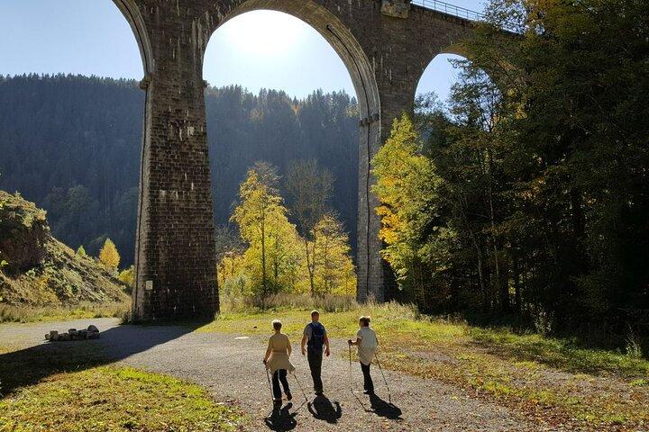 Black Forest: Self-Guided Hike, Ravenna Gorge