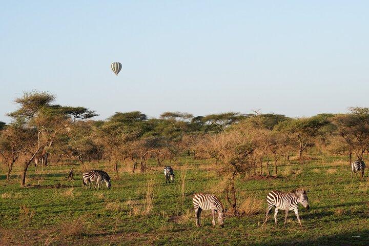 9 Days Private Camping Safari