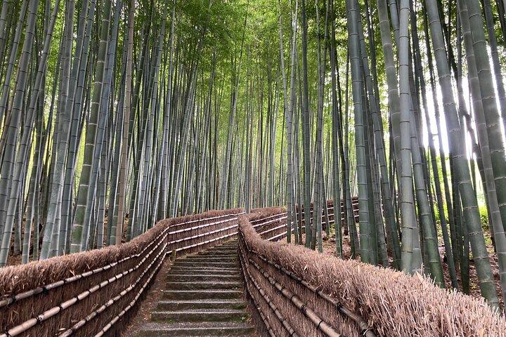 Private Kyoto with Exceptional Guide Tailored to Your Needs