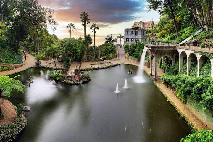 Madeira Tropical Gardens and Old Town Tuk Tuk Tour by MadTuk