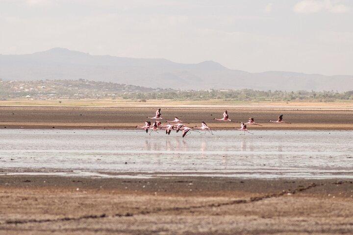 1 Day Trip Lake Eyasi 4WD Tour Experience
