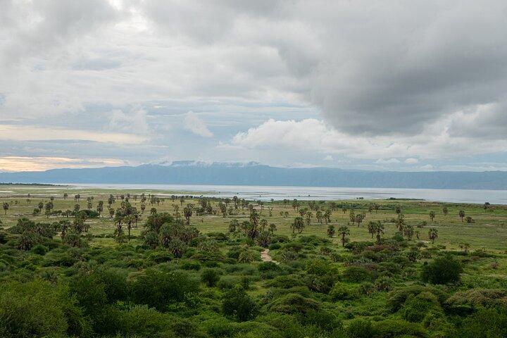 1 Day Trip Lake Eyasi 4WD Tour Experience