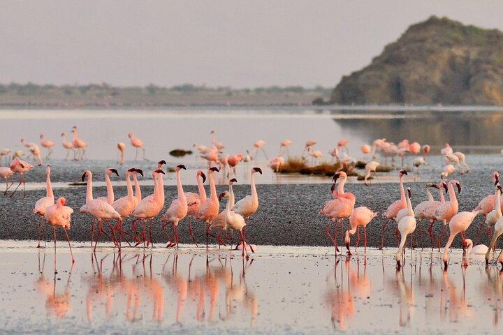 1 Day Trip Lake Eyasi 4WD Tour Experience