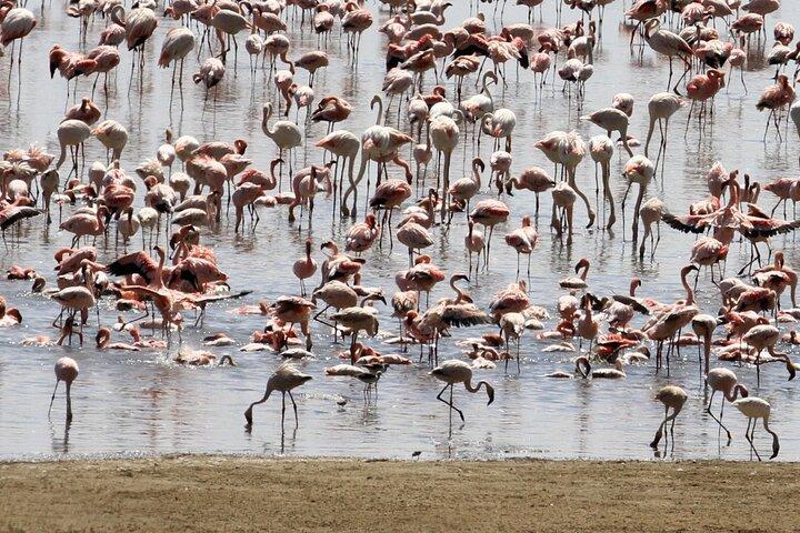 1 Day Trip Lake Eyasi 4WD Tour Experience