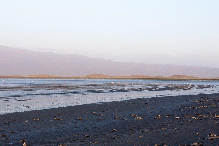 2 Days Lake Natron Trip with Ol Doinyo Lengai Hike