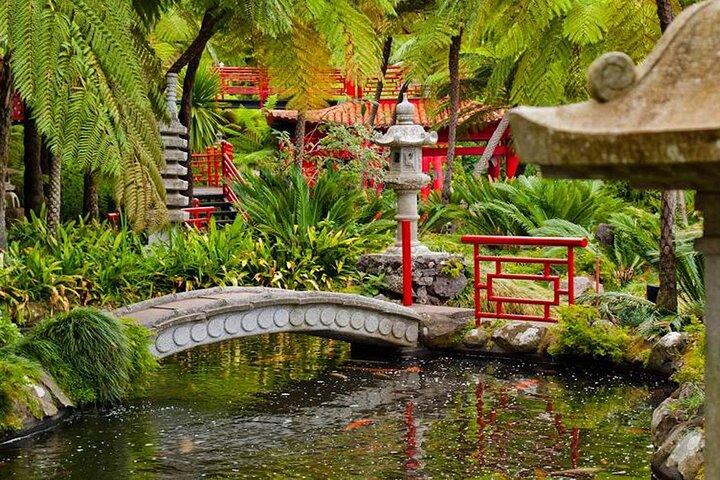 Madeira Tropical Gardens and Old Town Tuk Tuk Tour by MadTuk