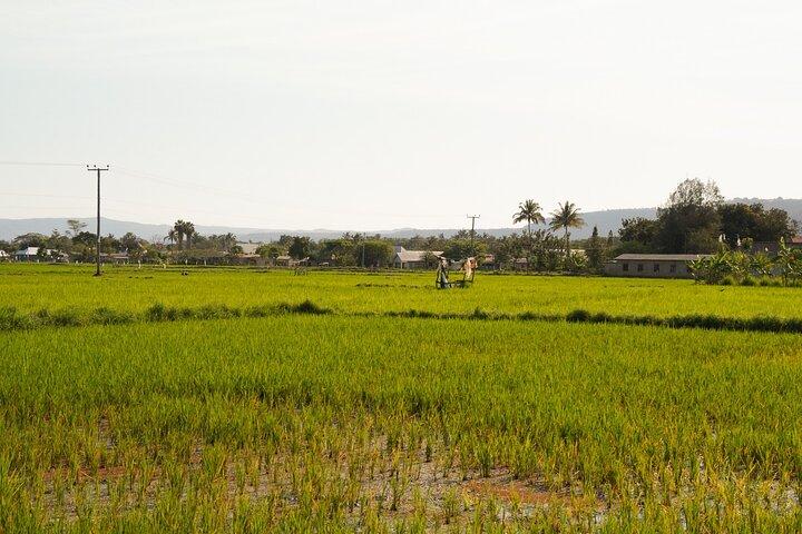 4 Days Cultural Tour to Mto wa Mbu Lake Eyasi & Lake Natron