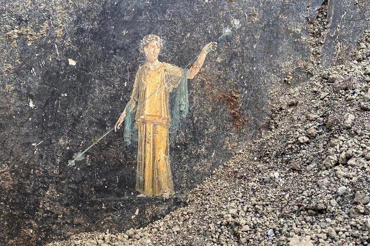 Pompeii New Excavations , Discoveries ,New Itinerary, Private Tour