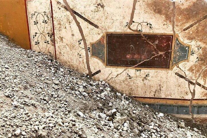Pompeii New Excavations , Discoveries ,New Itinerary, Private Tour