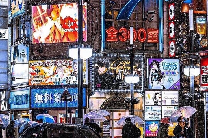 Best of Tokyo Private Tour English Driver &Customizable Itinerary