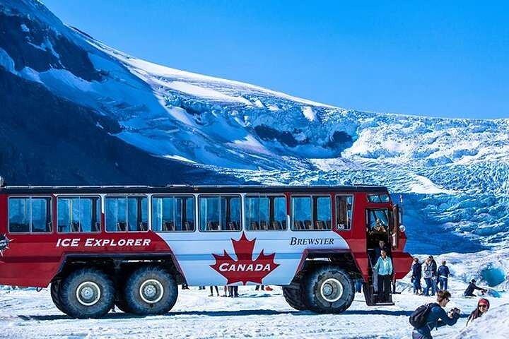 Calgary: Columbia Icefield Adventure, Skywalk and Peyto Lake Tour