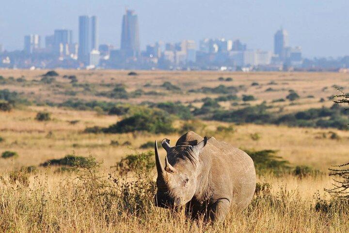 Private Nairobi National Park Safari Tour