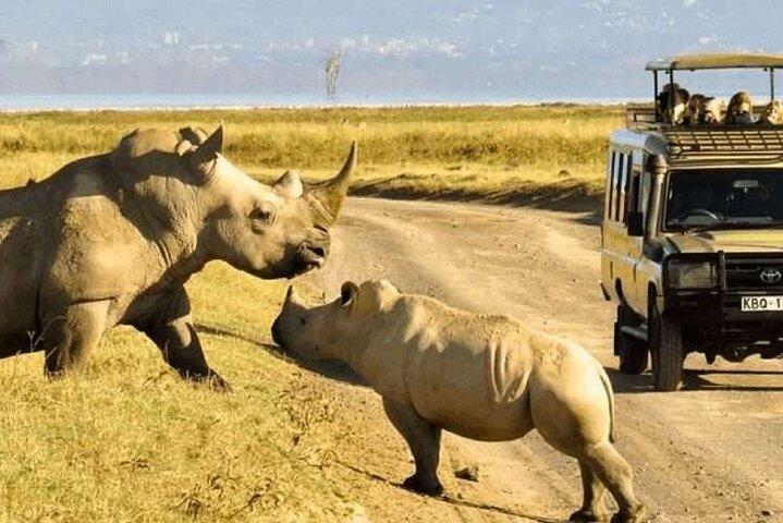 Private Nairobi National Park Safari Tour