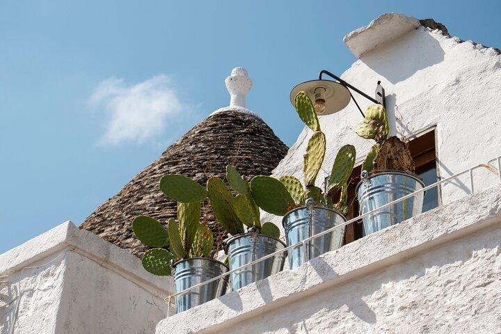 Alberobello : Group or Private Walking Tour & Food Tasting