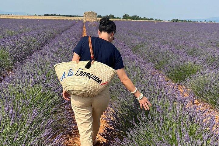 Provence Lavender Fields Tour from Aix-en-Provence