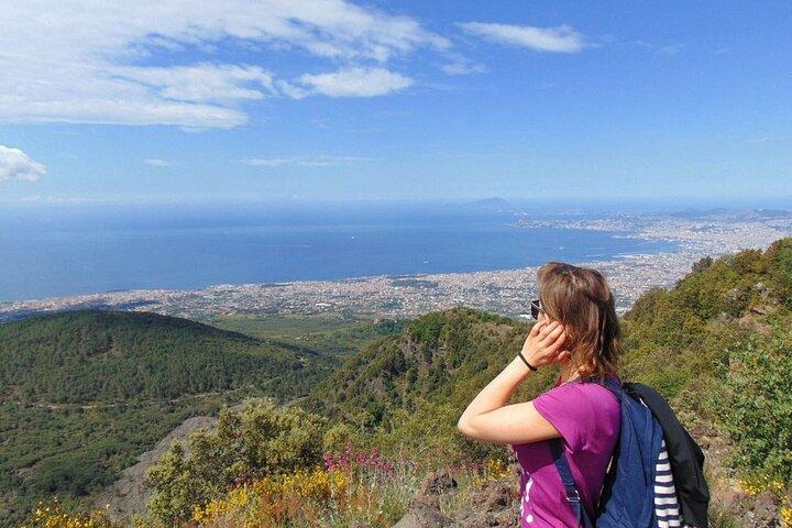 Pompeii and Mount Vesuvius Private Day Tour from Rome